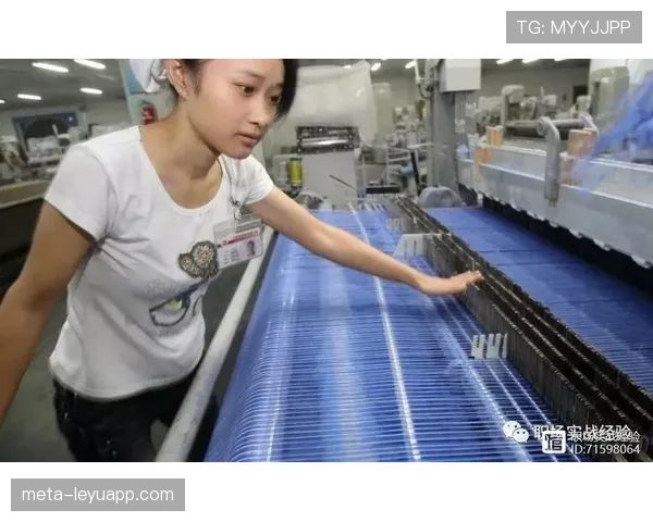 施洋随手发的家常照，背景那辆车直接把我拉回租房现实
